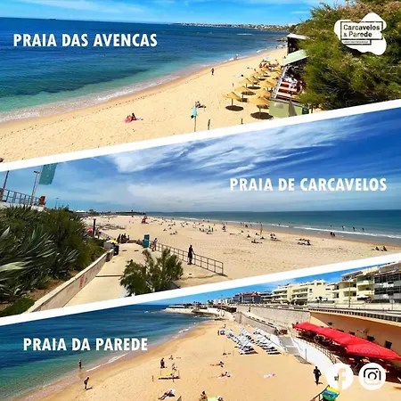 Appartement Besthomestay- Parede